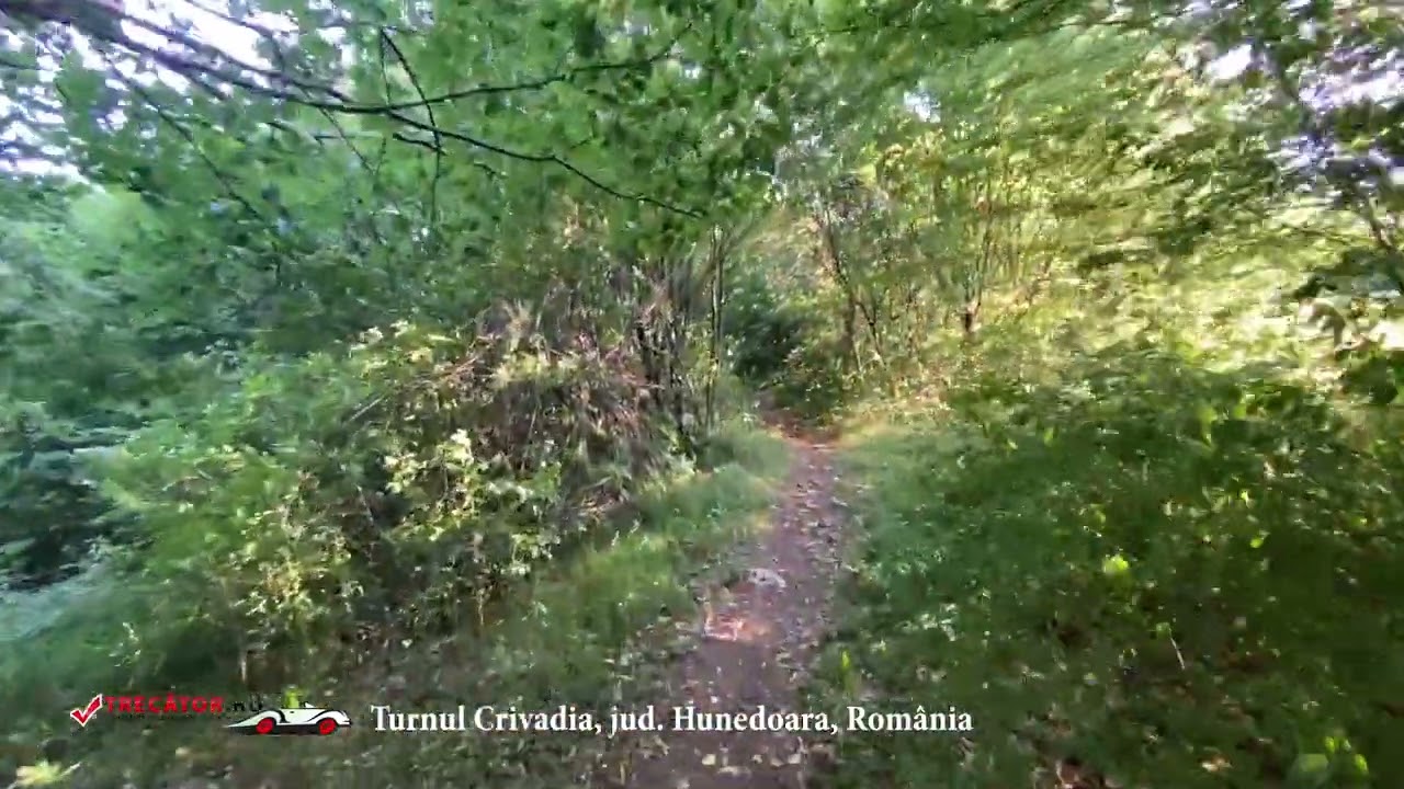 Turnul Crivadia, jud. Hunedoara, România