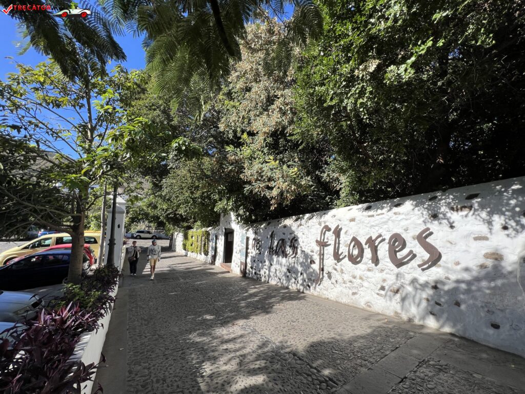 Huerto de Las Flores - Jardín Botánico de Agaete - Filme, Filmulețe de  promovare, Materiale Video