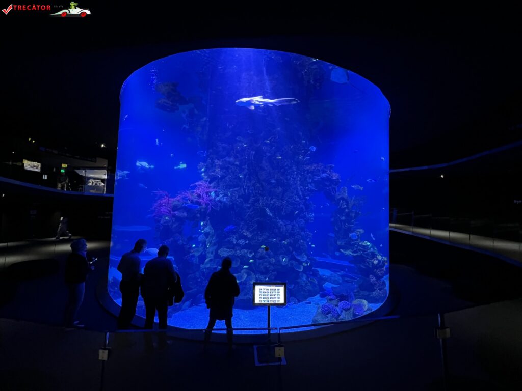 Poema del Mar Aquarium, Gran Canaria, Spania