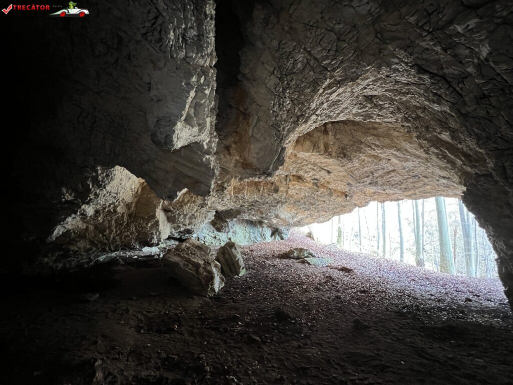 Peștera Dodoconi, Jud. Hunedoara, România