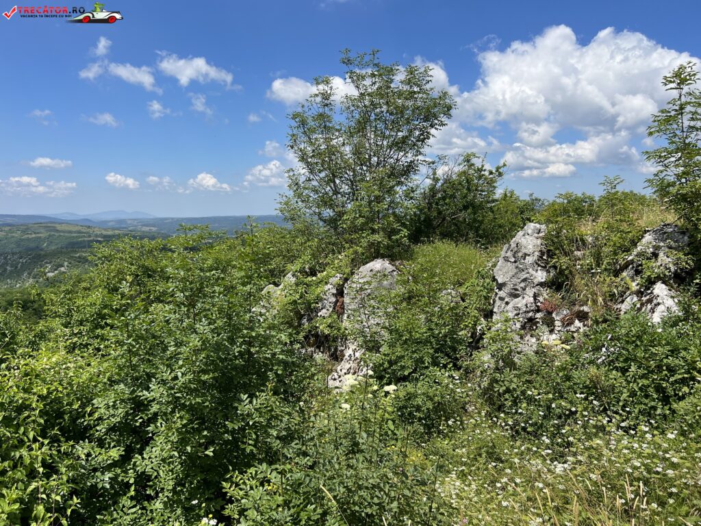 Ruinele Cetății Turcului, Jud. Caraș-Severin, România