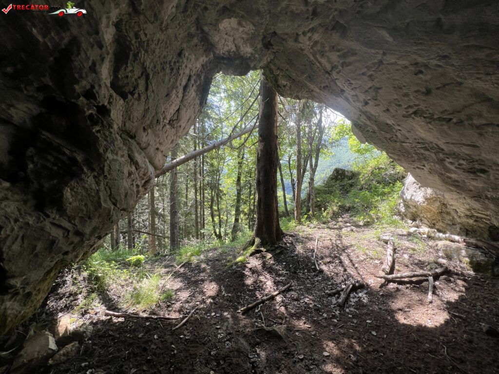 Peștera Dalma Cu Brazi, Jud. Hunedoara, România