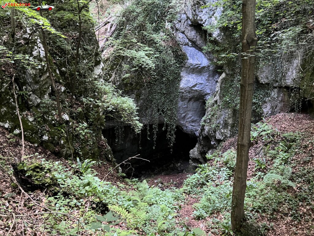 Peștera Gaura Oanei, Jud. Hunedoara, România