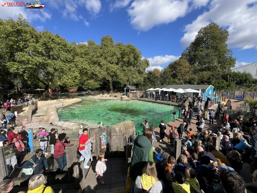 London Zoo, Marea Britanie