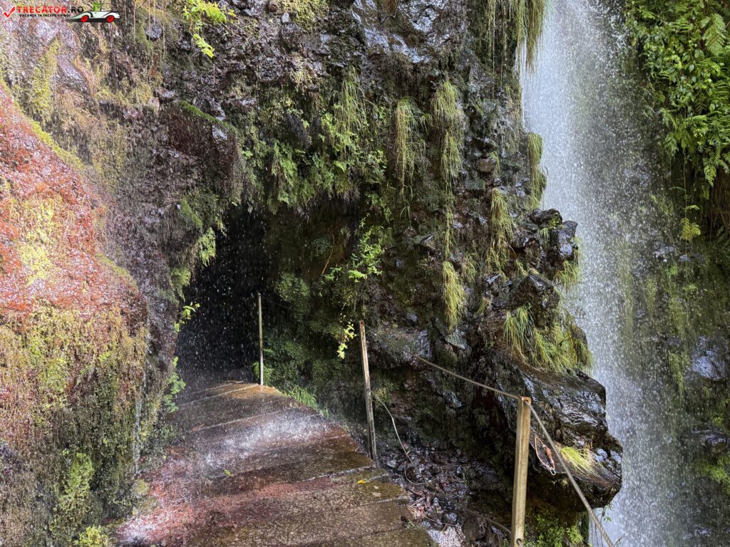PR16 – Levada Fajã do Rodrigues, Madeira, Portugalia