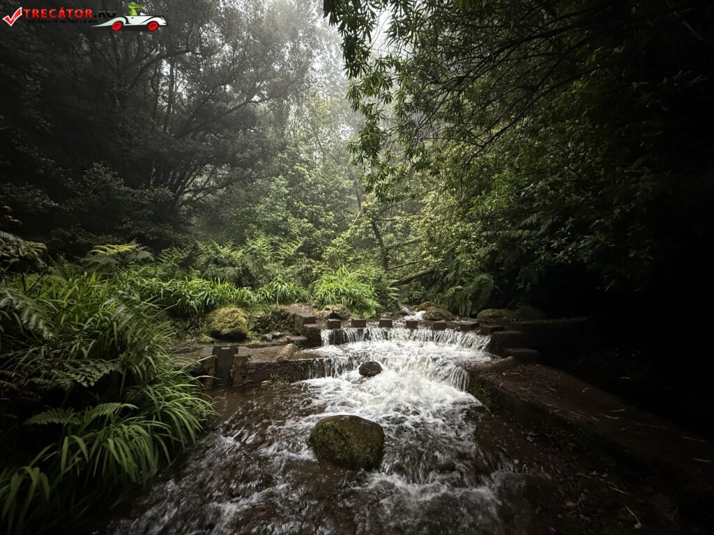 PR18 – Levada do Rei, Madeira, Portugalia
