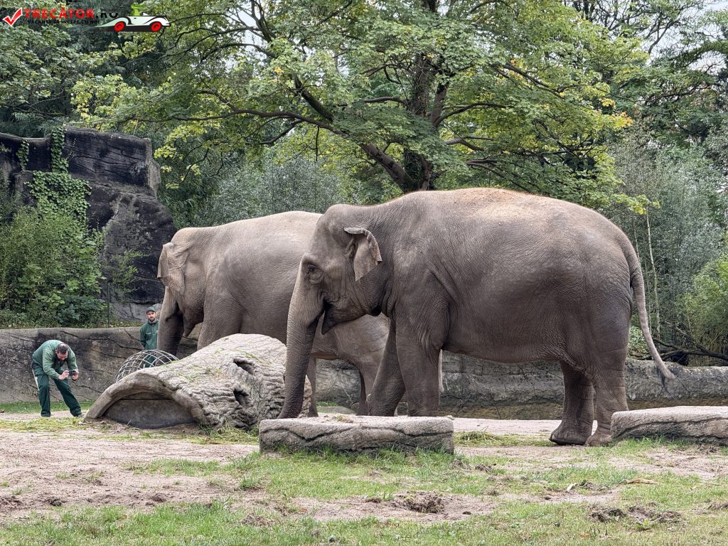 Tierpark Hagenbeck, Hamburg, Germania